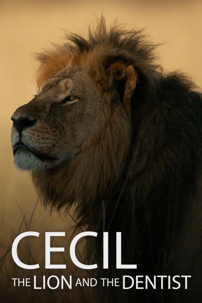 Cecil 2026 1080p download