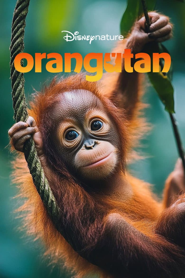 Orangutan 2026 4K download