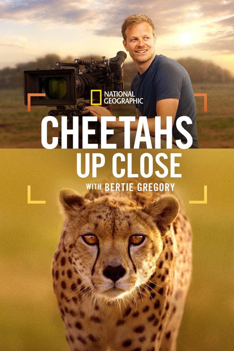 Cheetahs Up Close with Bertie Gregory 2026 1080p download
